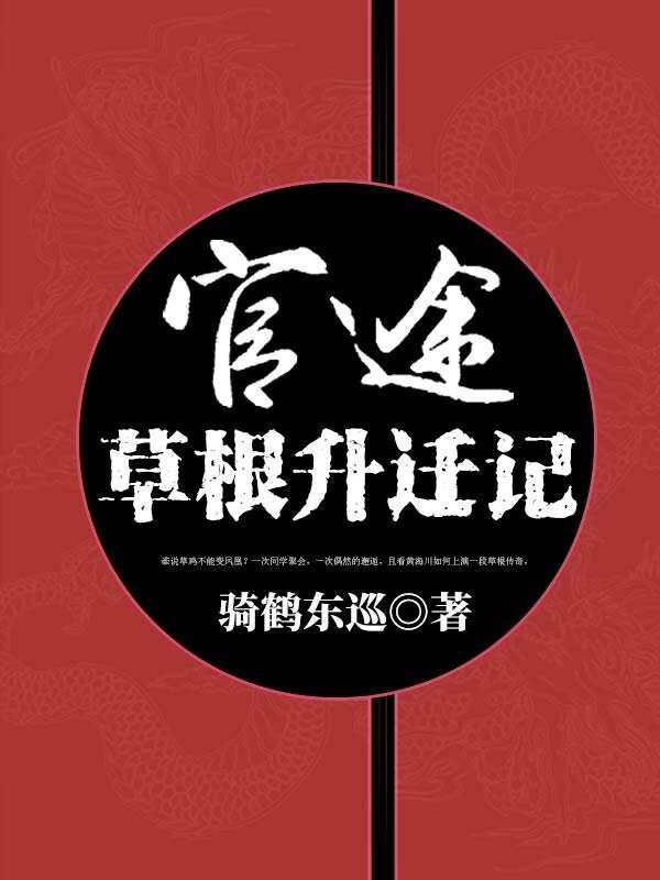 官途:草根升迁记