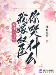 爱你不珍惜,我嫁权臣你哭什么?